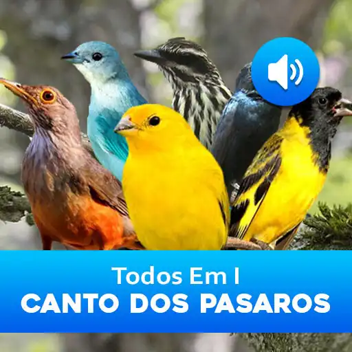 Play Todos Em I Cantos Dos Pasaros APK Play Todos Em I Cantos Dos Pasaros APK