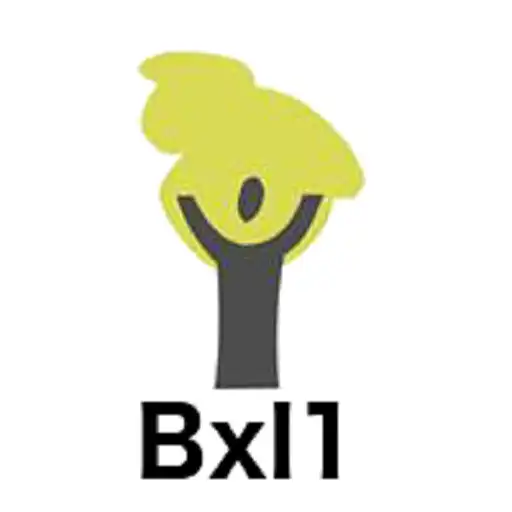 Play Together APEEE Services Transport Bxl1 APK