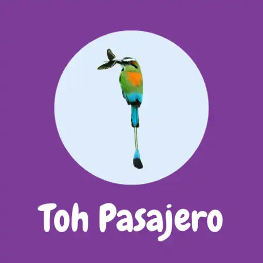 Play Toh Pasajero APK