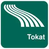 Free play online Tokat APK