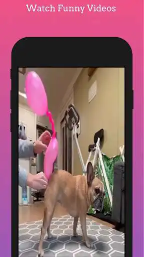Play Tok Insta - Indian Short Video app as an online game Tok Insta - Indian Short Video app with UptoPlay
