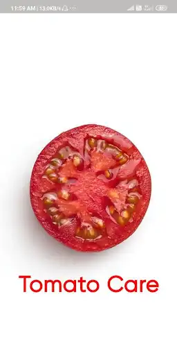 Play Tomato Care and enjoy Tomato Care with UptoPlay Play Tomato Care and enjoy Tomato Care with UptoPlay