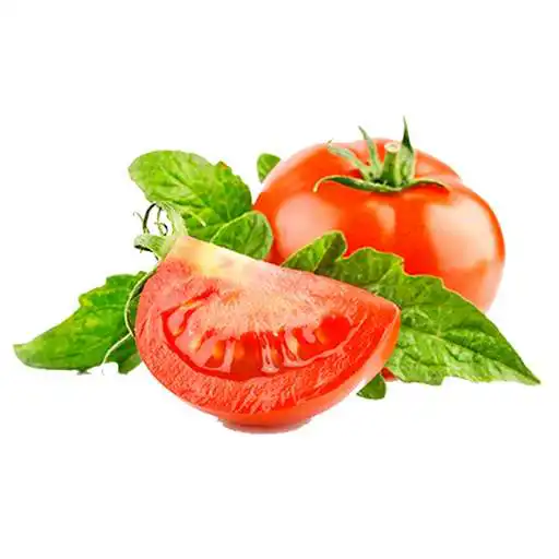 Play Tomato: from 