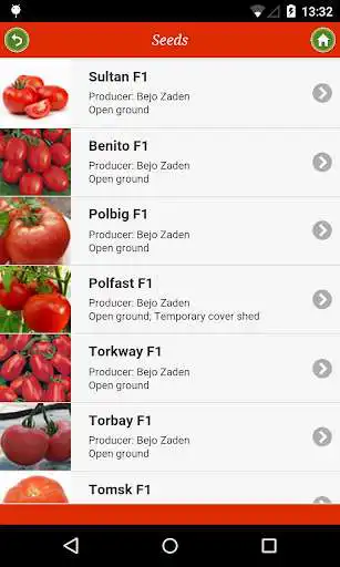 Play Tomato: from 