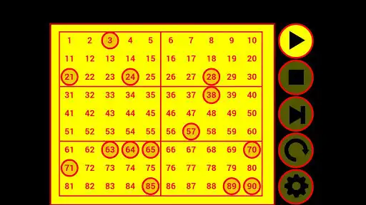 Play TOMBOLA! BINGO!