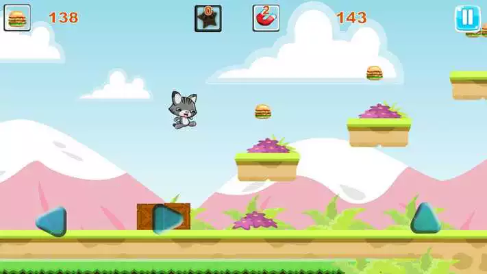 Play Toni The Cat