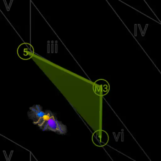 Play Tonnetz APK
