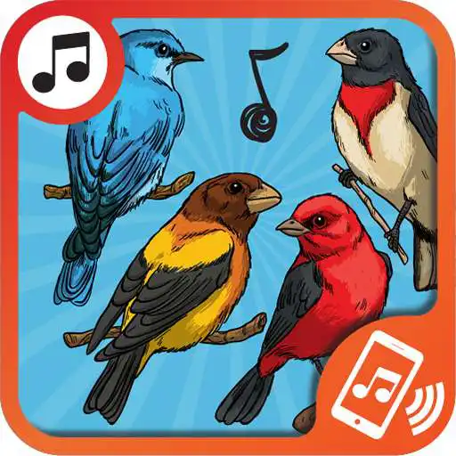Play tonos de pajaros para celular APK