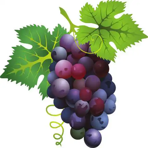 Play Tontitown Winery APK Play Tontitown Winery APK