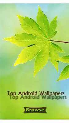 Play Top Android Wallpapers