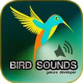 Free play online Top Bird Sounds APK Free play online Top Bird Sounds APK