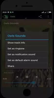 Play Top Bird Sounds