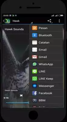 Play Top Bird Sounds