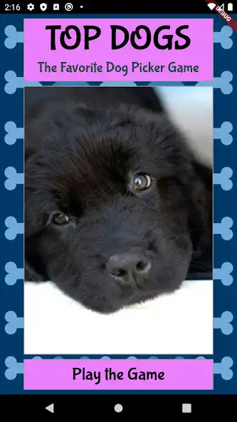 Play Top Dogs: Favorite Dog Picker and enjoy Top Dogs: Favorite Dog Picker with UptoPlay Play Top Dogs: Favorite Dog Picker and enjoy Top Dogs: Favorite Dog Picker with UptoPlay