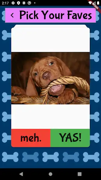 Play Top Dogs: Favorite Dog Picker as an online game online Top Dogs: Favorite Dog Picker with UptoPlay Play Top Dogs: Favorite Dog Picker as an online game Top Dogs: Favorite Dog Picker with UptoPlay