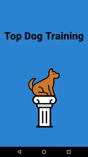Play Top Dog Training  and enjoy Top Dog Training with UptoPlay
