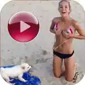Free play online Top European Videos APK Free play online Top European Videos APK
