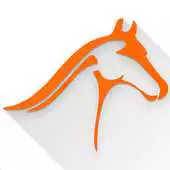 Free play online Top Horse Finder APK Free play online Top Horse Finder APK
