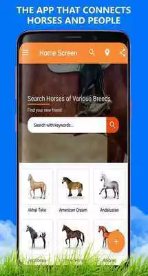 Play Top Horse Finder