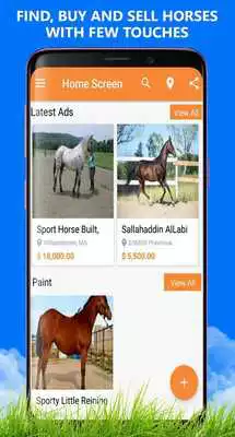 Play Top Horse Finder