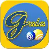 Free play online Top mobile bingo games APK