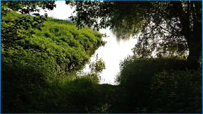 Play Top Nature Pictures