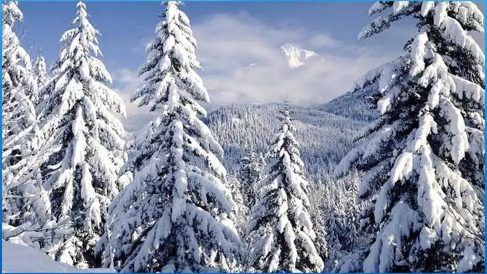 Play Top Nature Pictures