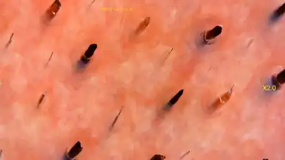 Play TopScope Pro as an online game online TopScope Pro with UptoPlay Play TopScope Pro as an online game TopScope Pro with UptoPlay