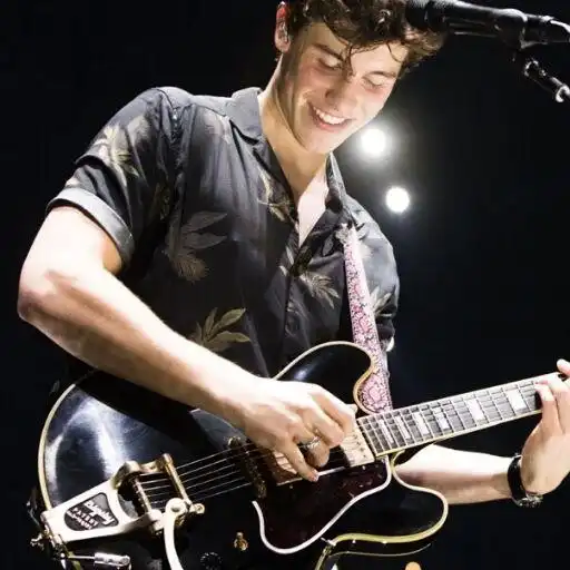 Play Top Songs Of Shawn Mendes APK Play Top Songs Of Shawn Mendes APK