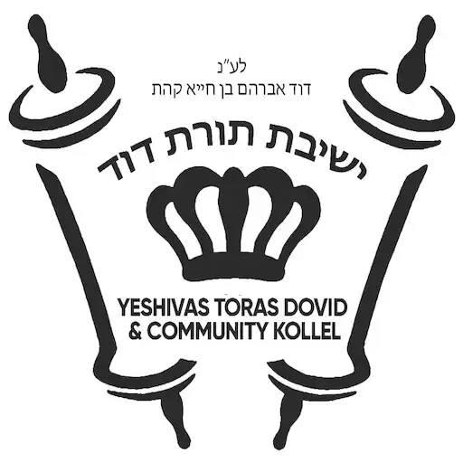 Play Toras Dovid APK