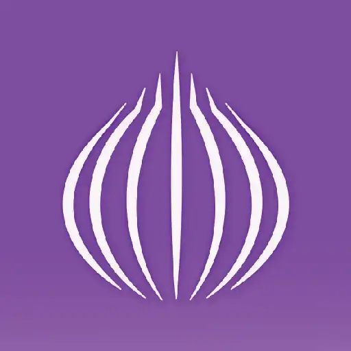 Play TOR Browser: OrNET Onion Web APK