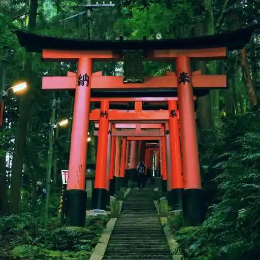 Play Torii Gates Wallpapers APK