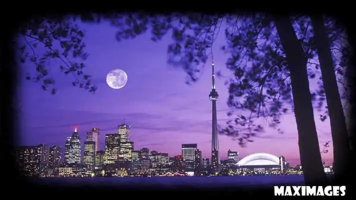 Play Toronto Wallpaper