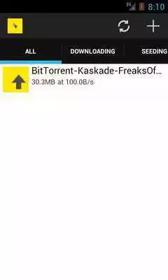 Play Torrent Manager