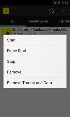 Play Torrent Manager
