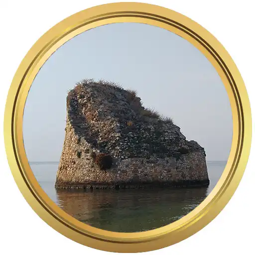 Play Torre Pali AR APK