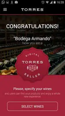 Play Torres Digital Seller