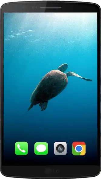 Play Tortoise Best HD Walpaper as an online game Tortoise Best HD Walpaper with UptoPlay