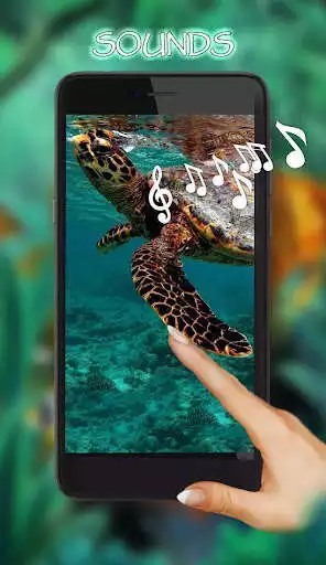 Play Tortoises Sea