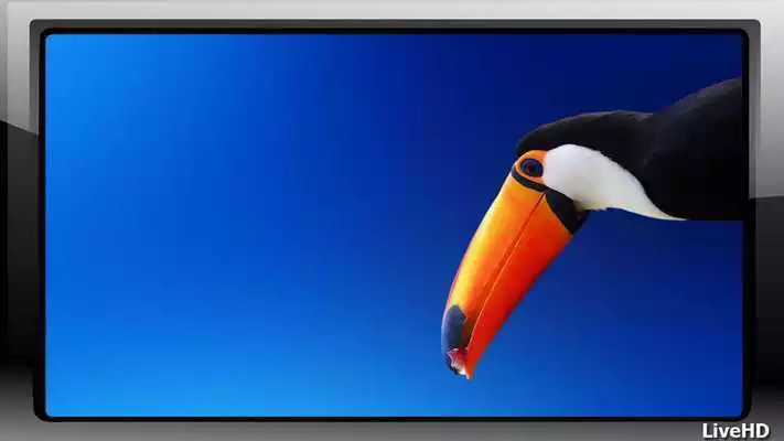 Play Toucan Pack 2 Wallpaper