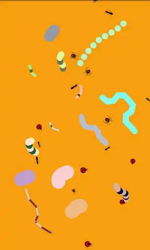 Play Touch and Born Move Paint Free Play Touch and Born Move Paint Free