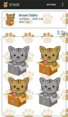Play Touch the Cat