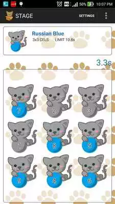 Play Touch the Cat