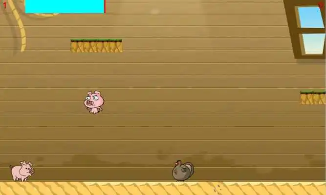 Play Touch The Pig Play Touch The Pig