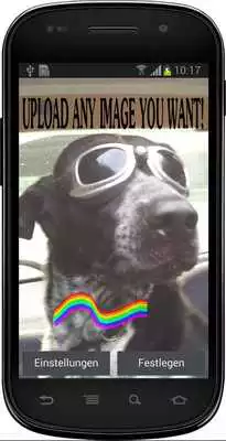 Play Touch the Rainbow Lite