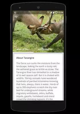 Play Tourism Tanzania