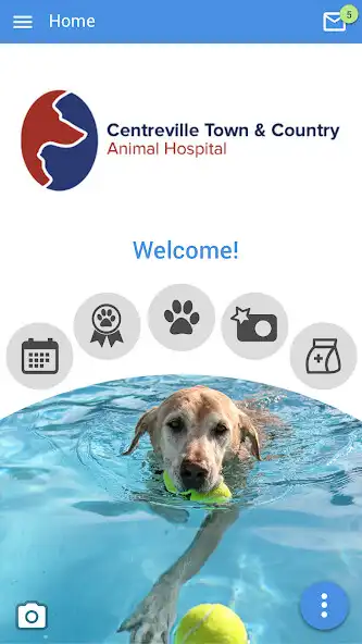 Play Town  Country Animal Hospital as an online game Town  Country Animal Hospital with UptoPlay