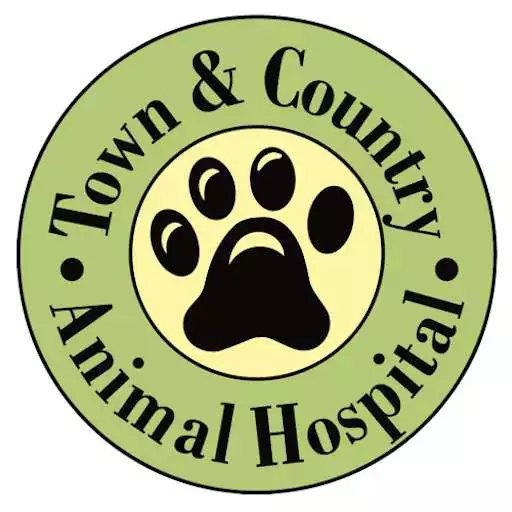 Play Town  Country Vet APK