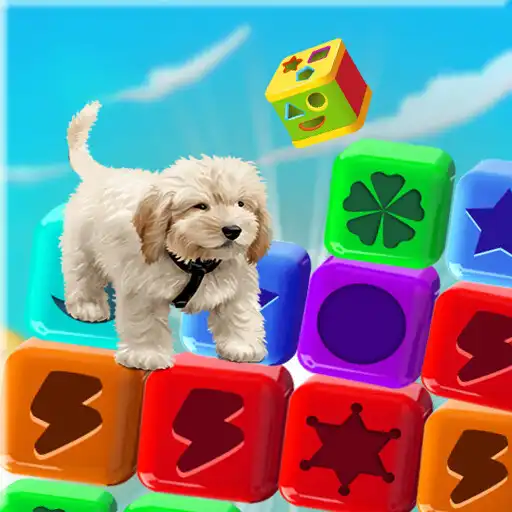 Play Toy Blast Master APK