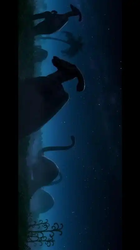 Play TrailerBox - India